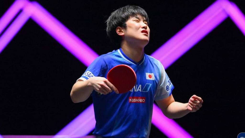 包含波兰乒乓球队险胜日本乒乓球队,张本智和爆发神勇的词条 包含波兰乒乓球队险胜日本乒乓球队,张本智和爆发神勇的词条