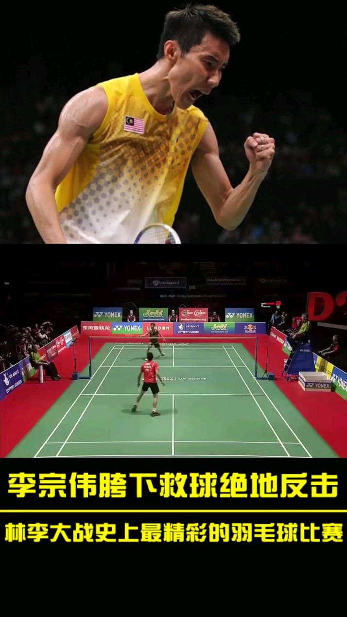 丹麦羽毛球队绝地反击法国羽毛球队，林丹关键制胜的简单介绍