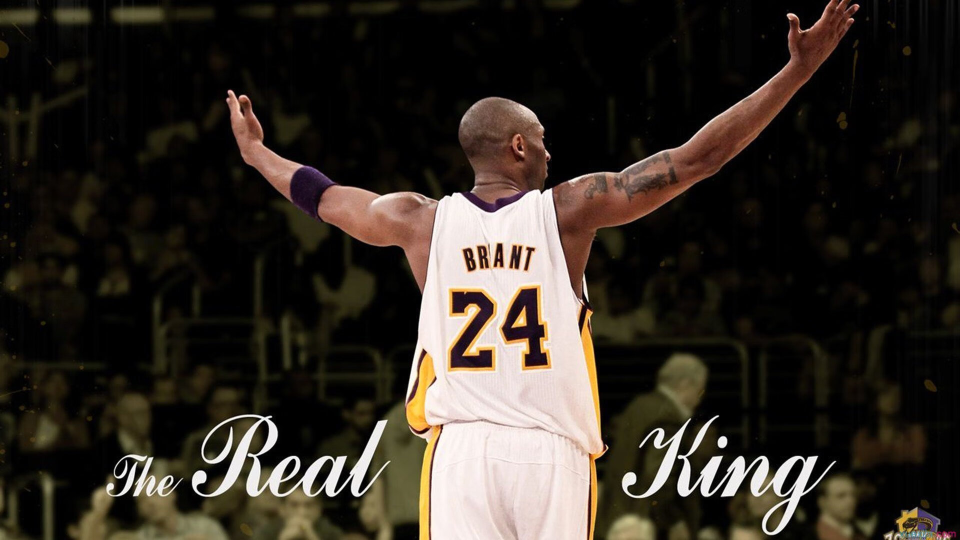 世界杯的绿茵，NBA的剧本，当独行侠碾压鹈鹕成为2026焦点战隐喻